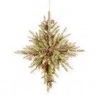 National Tree Company 32 in. Snowy Dunhill Fir Bethlehem Star with Battery Operated LED Lights-DUF3-301-32STB1 303231248