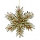 National Tree Company 32 in. Snowy Dunhill Fir Double-Sided Snowflake with Battery Operated LED Lights-DUF3-303-32SB-1 303231250
