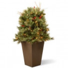 National Tree Company 36 in. Glistening Pine Porch Bush with Clear Lights-GN19-36TLO 303231293