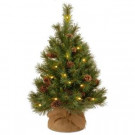 National Tree Company 36 in. Pine Cone Tree with Battery Operated Warm White LED Lights-PC3-3BP-B-1 300478234