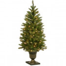 National Tree Company 4 ft. Dunhill Fir Entrance Artificial Christmas Tree with Clear Lights-DUH3-357-40 300120606