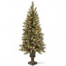 National Tree Company 4 ft. Glittery Bristle Entrance Artificial Christmas Tree with Warm White LED Lights-GB3-326-40 300120604