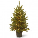 National Tree Company 4 ft. Kensington Artificial Christmas Tree with Clear Lights-KNT3-307-40 300120618