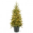 National Tree Company 4 ft. Weeping Spruce Artificial Christmas Tree with Clear Lights-PEWS3-373-40 300120600