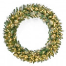 National Tree Company 48 in. Carolina Pine Wreath with Clear Lights-CAP3-306-48W 303200900