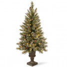 National Tree Company 5 ft. Glittery Bristle Entrance Artificial Christmas Tree with Clear Lights-GB3-306-50 300120603