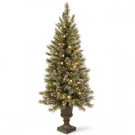 National Tree Company 5 ft. Glittery Bristle Entrance Artificial Christmas Tree with Warm White LED Lights-GB3-326-50 300120605