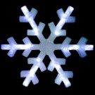 National Tree Company 60 in. Snowflake Decoration with LED Lights-DF-120001U 300493548