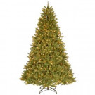 National Tree Company 9 ft. Feel-Real Grande Fir Hinged Artificial Christmas Tree with 900 Ready Clear Lights-PEGF8-332E-90X 301539311