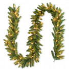 National Tree Company 9 ft. FEEL-REAL Jersey Fraser Fir Artificial Garland with 100 Clear Lights-PEJF8-310-9A-1 301559438