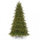 National Tree Company 9 ft. Northern Frasier Fir Tree with Clear Lights-PENO4-307-90 302558594