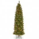 National Tree Company 9 ft. Tacoma Pine Pencil Slim Tree with Clear Lights-TAP7-311-90 302558570
