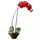 Nearly Natural 20 in. Holiday Phalaenopsis Orchid-4859 100686424