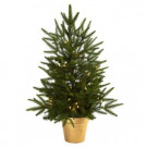 Nearly Natural 2.5 ft. Artificial Christmas Tree with Golden Planter and Clear Lights-5370 204688160