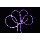 Northlight 18 ft. Purple LED Indoor/Outdoor Rope Lights-31010458 302267599