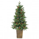 Sterling 4 ft. Pre-Lit Natural Cut Georgia Pine Artificial Christmas Tree with Clear Lights in Pot-5581--40C 206480748
