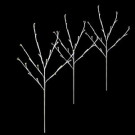 Twig Tree Warm White Pathmarkers (Set of 3)-46-392-00 204635253