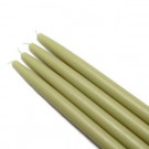Zest Candle 10 in. Sage Green Taper Candles (12-Set)-CEZ-035 203362831