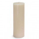 Zest Candle 3 in. x 9 in. Ivory Pillar Candles Bulk (12-Case)-CPZ-094_12 203363245